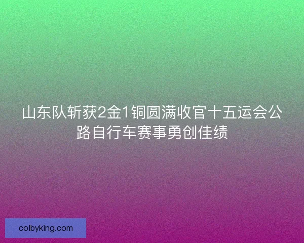 山东队斩获2金1铜圆满收官十五运会公路自行车赛事勇创佳绩