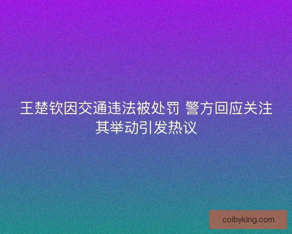 王楚钦因交通违法被处罚 警方回应关注其举动引发热议